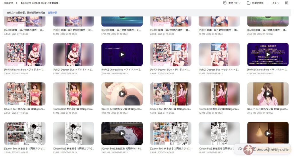 jinricp书院精品资源站