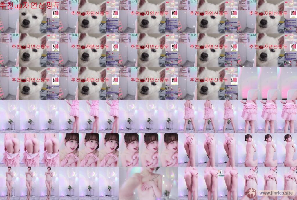 jinricp书院精品资源站