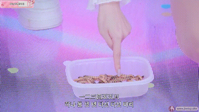 jinricp书院精品资源站