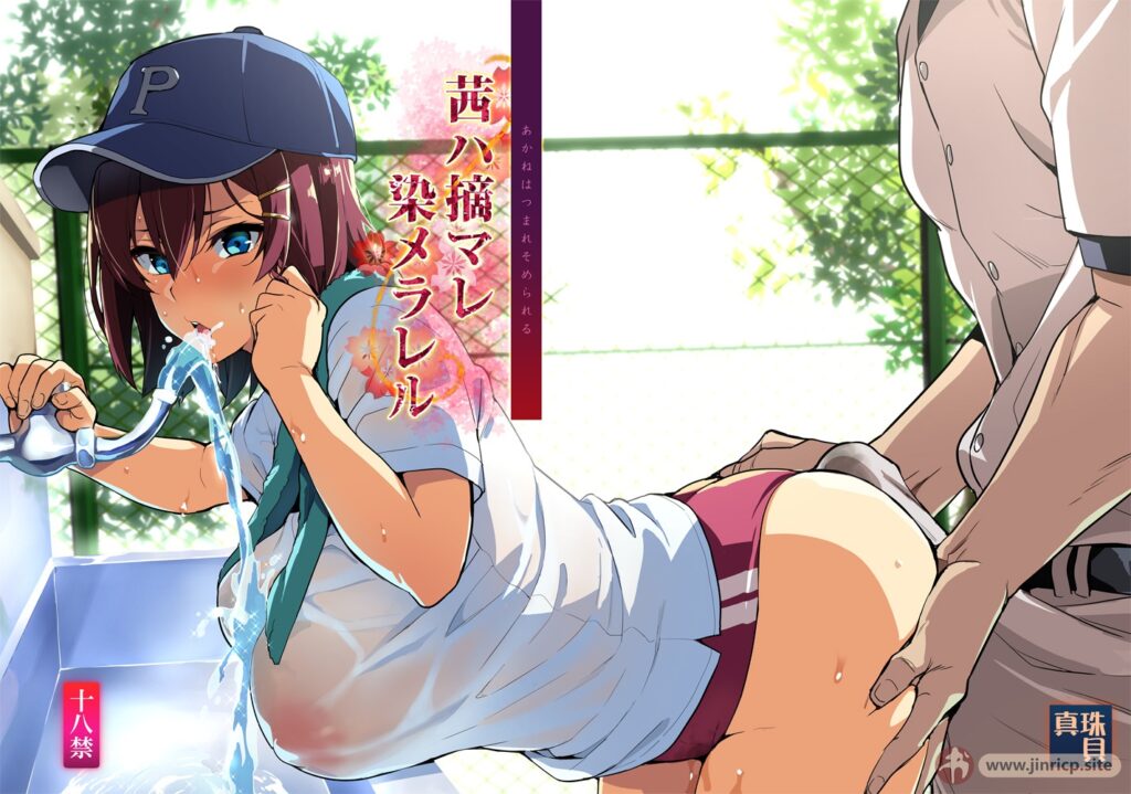 jinricp书院精品资源站