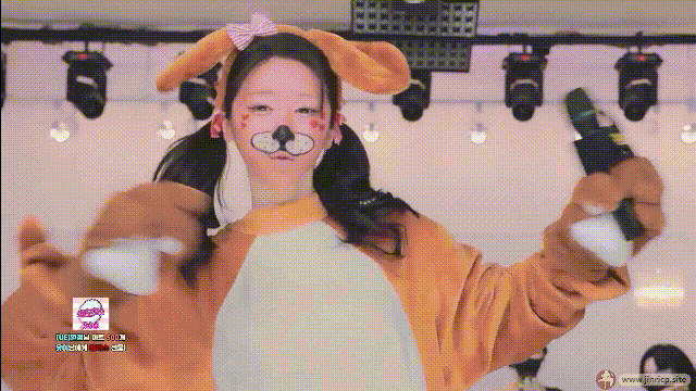 jinricp书院精品资源站