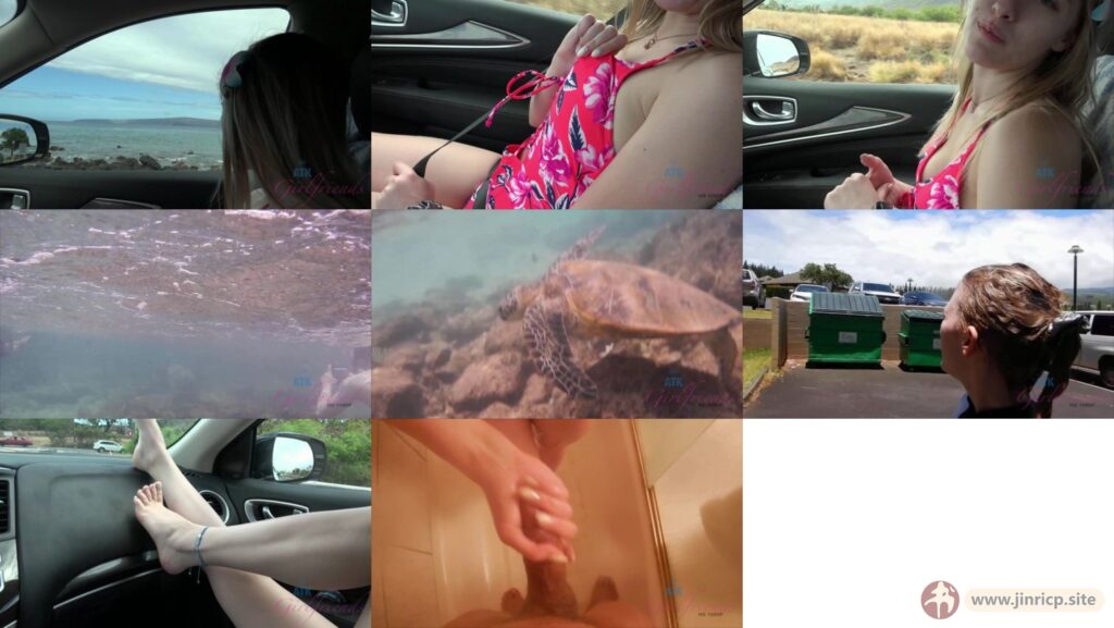 20260516225454884-[jinricp.site]45190957348236595498